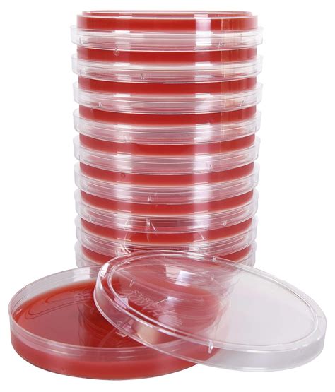 Base Blood Agar Plate X Mm Plate Order By The Package Of Tsa By