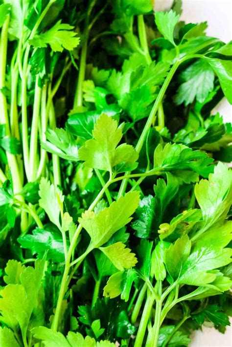 How Much Dried Parsley To Substitute For Fresh Prepare Nourish