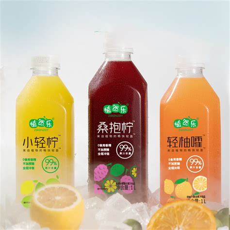 植然乐99果汁饮料2瓶1000ml 惠券直播 一起惠返利网