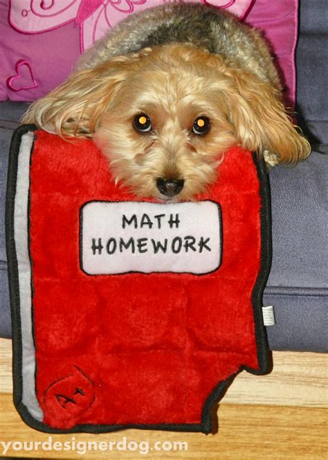 The Dog Ate My Homework Yourdesignerdog