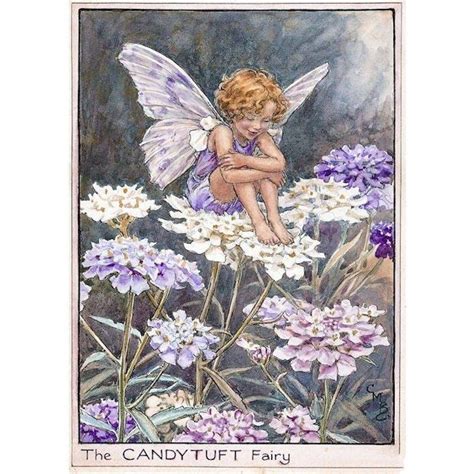 All Cicely Mary Barker Fairies