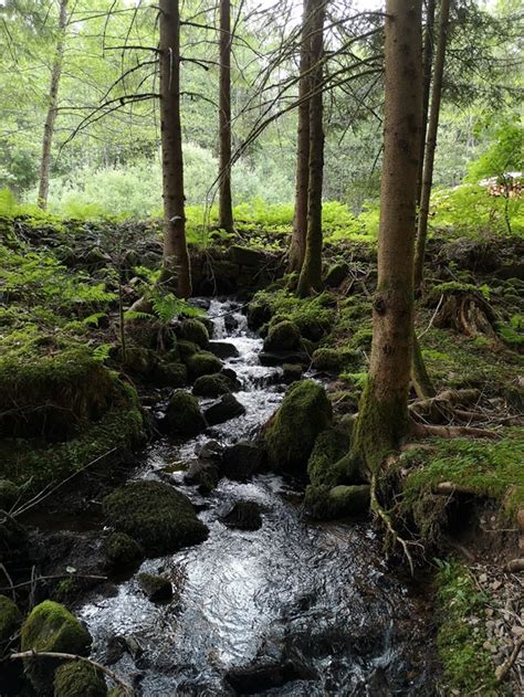 Natur Resilienz Training Natur Landschaft Resilienz