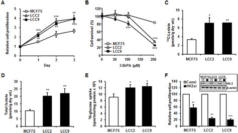 Lactate Production And Glucose Consumption Were Elevated In LCC2 And