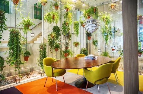 Where To Buy Office Plants The Definitive Guide Home Logic Uk