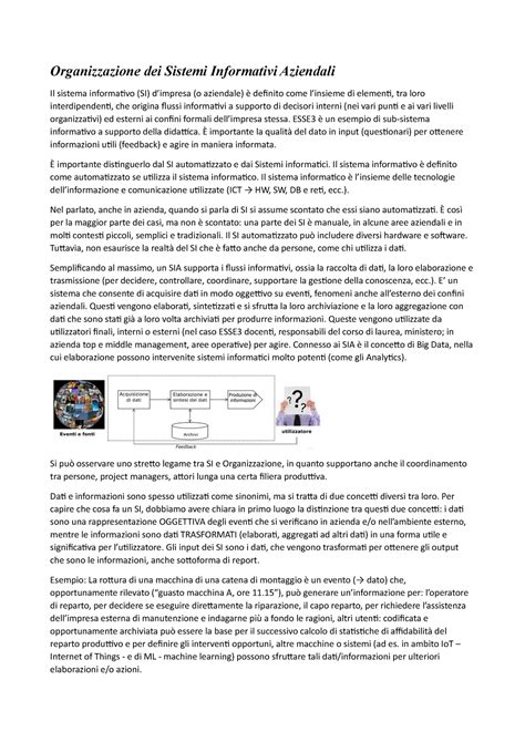 Organizzazione Dei Sistemi Informativi Aziendali Esse Un Esempio