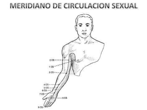 Diagramas De Acupuntura PPT