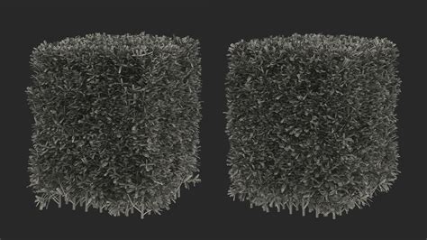 Boxwood Square Bush 3d Model 29 Lxo Ma Max Blend Obj Fbx C4d