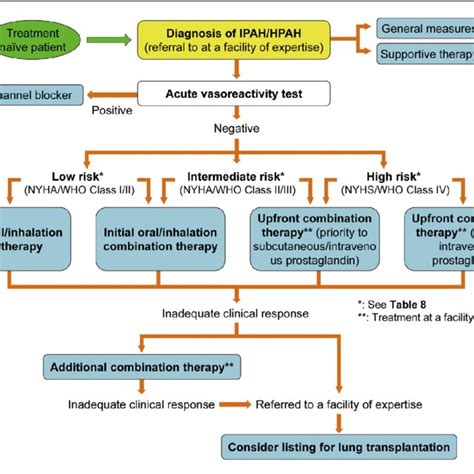 Pdf Guidelines For The Treatment Of Pulmonary Hypertension Jcs 2017 Jpcphs 2017