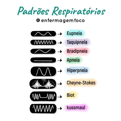 O Que Significa Eupneico - Eupneico Significado Medico | Causas y consecuencias de la eupnea – YONPFX