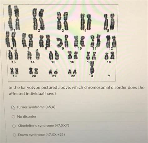 Solved In The Karyotype Pictured Above Which Chromosomal Chegg