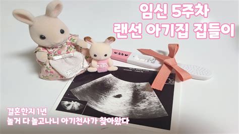 임신5주차 아기집 랜선집들이 성공 5m 4d 세종시임산부등록 자연임신 대전미즈제일여성병원 임신브이로그 임신