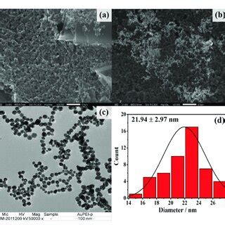 Sem Images Of A Naked And B Pei Aunps Modified Spces C Tem Image