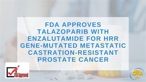 Fda Approves Talazoparib With Enzalutamide For Hrr Gene Mutated