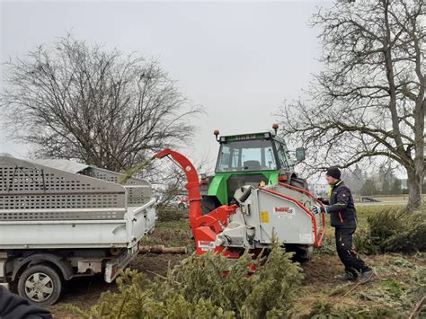 Cr Mation Et Broyage Des Sapins Gundershoffen