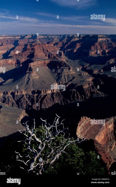 Am Hopi Point West Rim Drive Grand Canyon Nat Park Arizona Usa