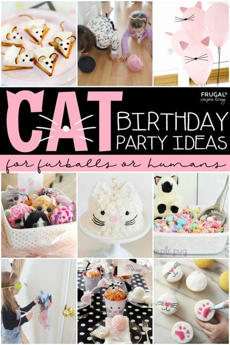 Birthday Party Cat