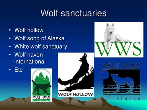 Ppt Wolf Presentation Powerpoint Presentation Free Download Id 359082