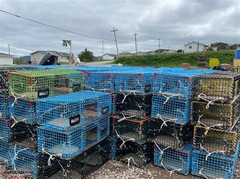 Wire Lobster Traps Coxs Cove Newfoundland Labrador NL Classifieds