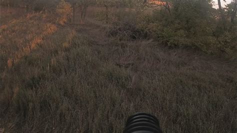 Deer Season 2022 Early October Youtube