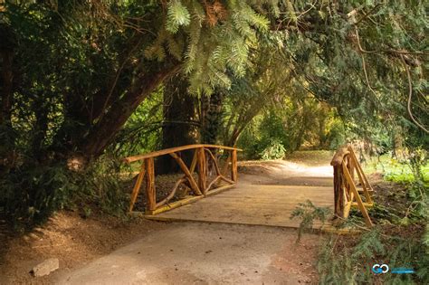 Feerie De Toamnă în Parcul Dendrologic Din Simeria Go Hunedoara