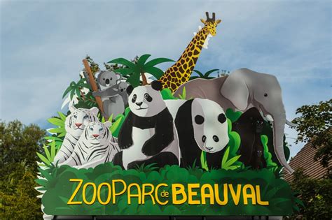 Séjour Zoo De Beauval 1 Ou 2 Jours Astuces Avis And Guide De Visite