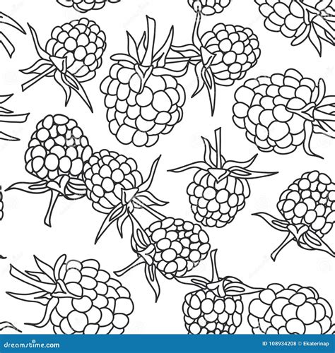 Raspberry Coloring Art Coloring Pages