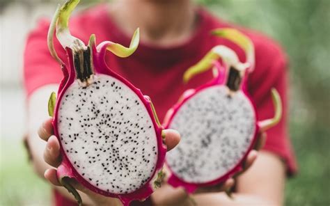 Qual A Diferen A Entre A Pitaya Branca E Vermelha