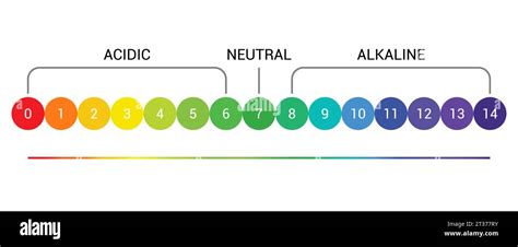 pH scale indicator chart diagram acidic alkaline measure. pH analysis ...