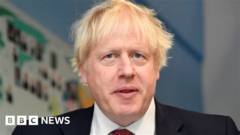 Brexit Boris Johnson Has Ruled Out Ni Only Backstop Bbc News