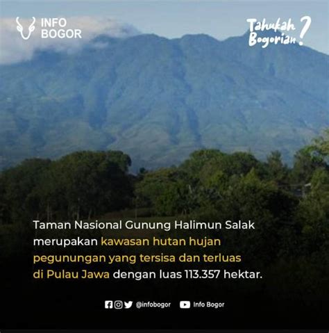 Sekilas Taman Nasional Gunung Halimun Salak Atmago