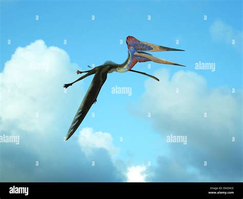 Pterosaur Hi Res Stock Photography And Images Alamy