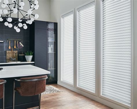 Sheer Shades Zebra Shades Free Consult A Modern Window
