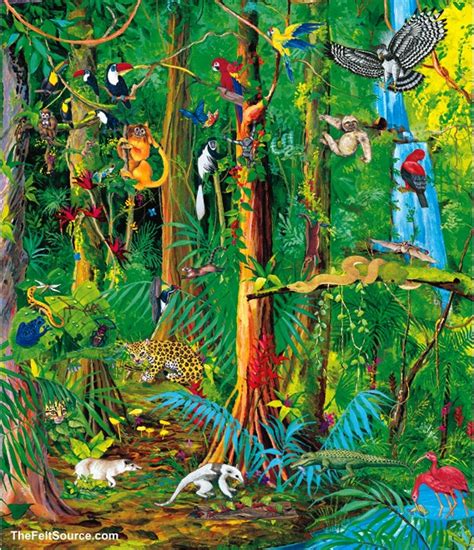 Rainforest art related keywords clipart - WikiClipArt