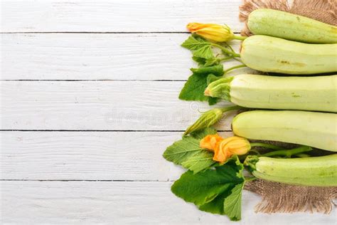 Squash Marrow Zucchini Fresh Vegetables Stock Image Image Of Nature