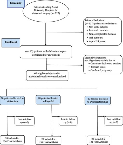 Consort Flow Chart Of The Clinical Trial Download Scientific Diagram