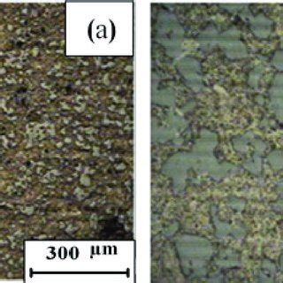 A Optical Micrograph Of SD HP Alloy B Higher Magnification Showing