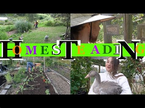 This Is Homesteading Vlog Youtube