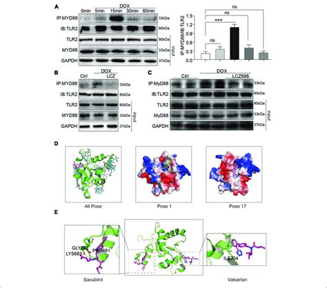 Lcz Treatment Attenuated Doxorubicin Induced Cardiac Injury By