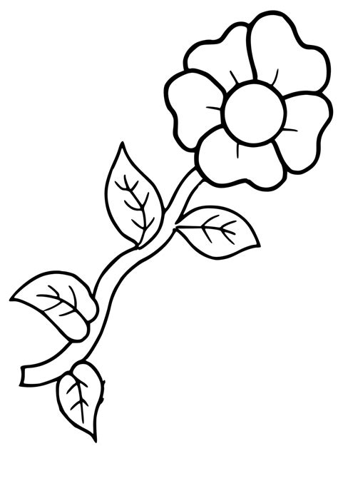 Dibujos Para Colorear Flores Os Infoupdate Org