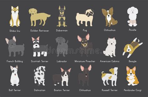 Illustration of Different Dog Breeds Stock Illustration - Illustration ...