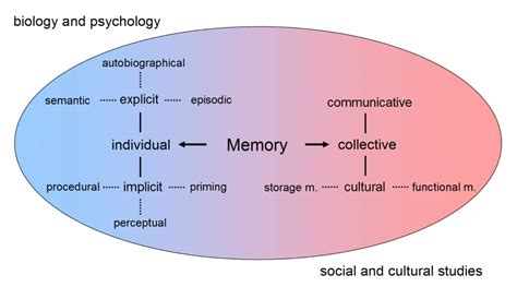 The 3 Major Types Memory And Every Subtype: A Complete Guide