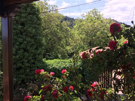 Village House in Velina For Sale - Call +302311180959 (Velina, Peloponnese)