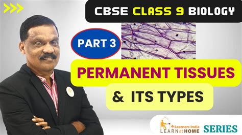 Cbse Class 9 Biology Chapter 2 Part 3 Permanent Tissues And Its Types Simple Permanent Tissues