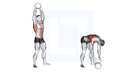 Dumbbell Palm Rotational Bent Over Row Guide Benefits And Form