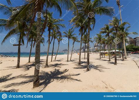 Coconut Trees On Leme Beach In Rio De Janeiro Brazil Editorial Image