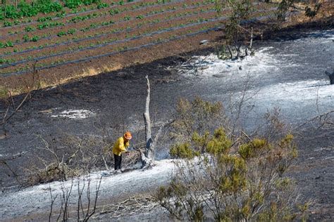 New Wildfires Sweep Through California Burning Homes