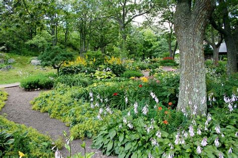 Become A Master Gardener Virginia Cooperative Extension Virginia Tech