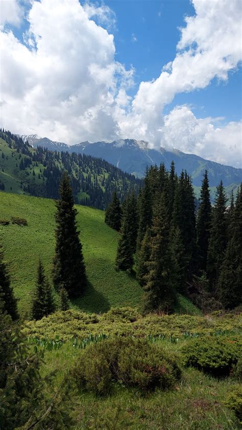 Hiking In Almaty Mountains Different Levels On Weekend