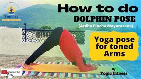 Dolphin Pose Ardha Pincha Mayurasana Yoga Yogic Fitness Youtube