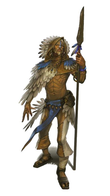 Male Human Shaman Pathfinder Pfrpg Dnd D D D Fantasy Character